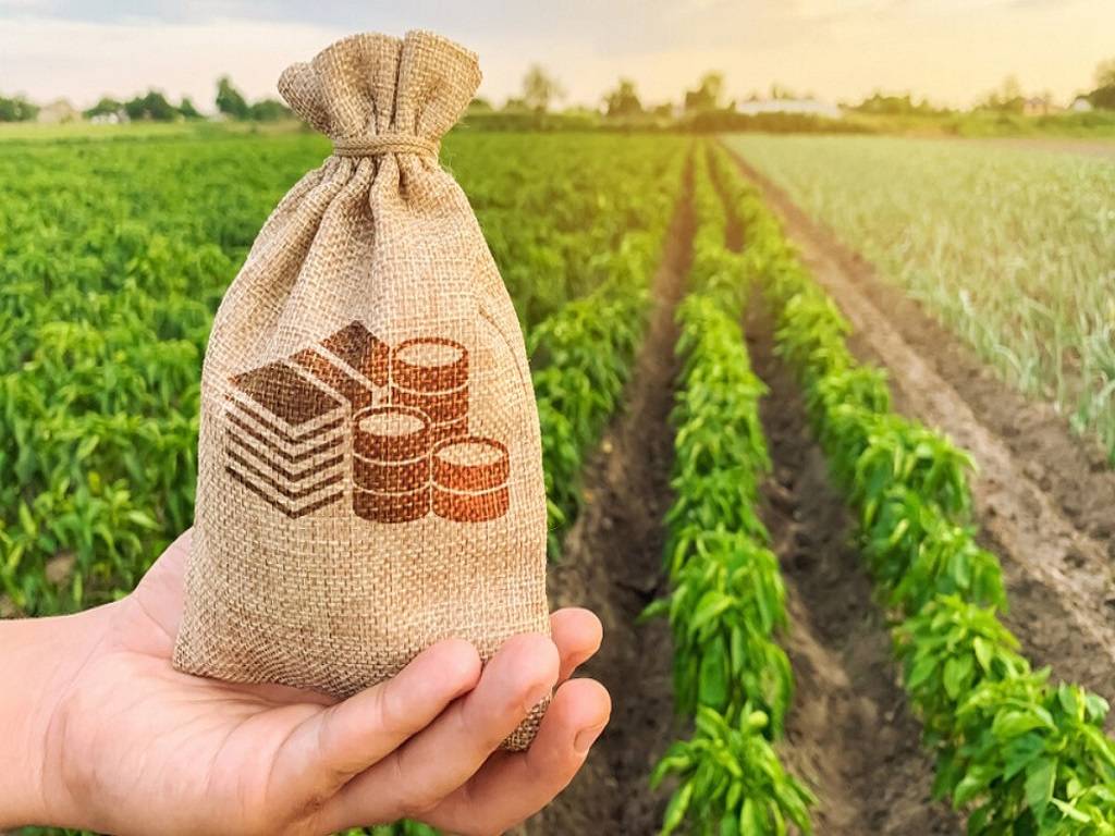 Best Agricultural Loans For Farmers And Agribusiness: Empowering Growth And Sustainability